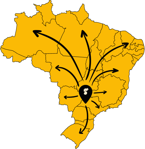 CantaGallo em todo o Brasil